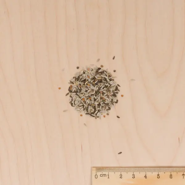 Potagères - Mesclun - MEDIA_3D